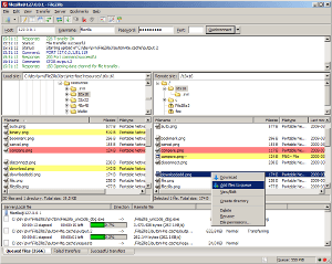 Filezilla ftp client